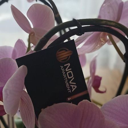 Nova Apartment 사노크 외부 사진