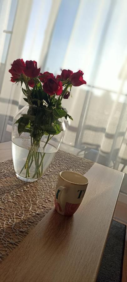 Nova Apartment 사노크 외부 사진
