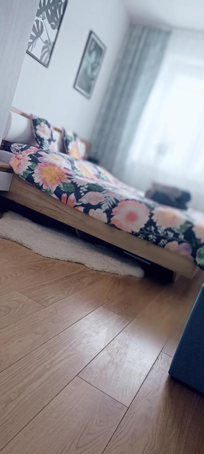Nova Apartment 사노크 외부 사진